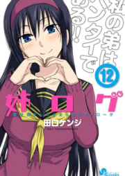 姉ログ raw 第01-12巻 [Ane Log vol 01-12]