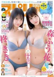 週刊スピリッツ 2025年20号 [Big Comic Spirits 2025-20]