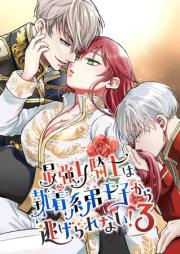 最強女騎士は執着系弟王子から逃げられない! 1-3