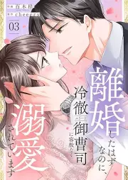 離婚したはずなのに、冷徹エリート御曹司に容赦なく溺愛されています raw 第01-03巻
