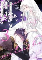 望まれぬ花嫁は一途に皇太子を愛す raw 第01-03巻 [Nozomarenu hanayome wa ichizu ni kotaishi o aisu vol 01-03]