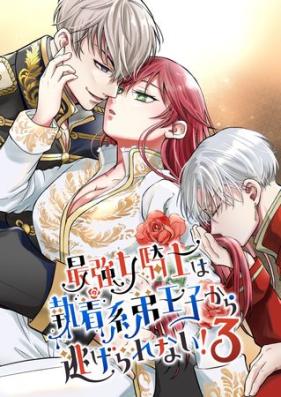 最強女騎士は執着系弟王子から逃げられない! 1-3