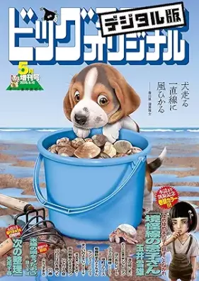 ビッグコミックオリジナル増刊 2025年05月増刊号