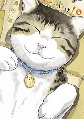 ねこったけ！ 第01-06巻 [Nekottake vol 01-06]
