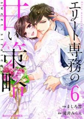 エリート専務の甘い策略 第01-06巻 [Erito Senmu no Amai Sakuryaku vl 01-06]