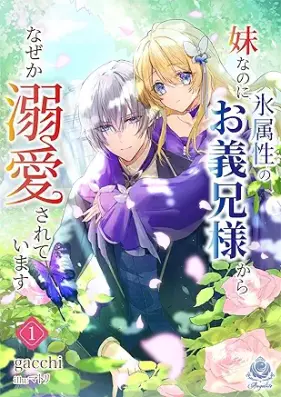 妹なのに氷属性のお義兄様からなぜか溺愛されています 第01巻