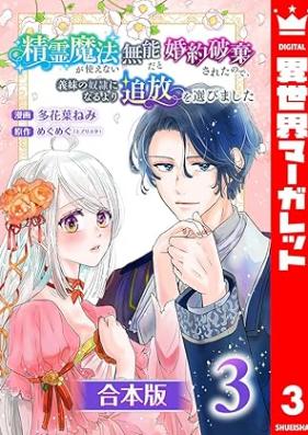 精霊魔法が使えない無能だと婚約破棄されたので、義妹の奴隷になるより追放を選びました 第01-03巻 [Seirei Maho Ga Tsukaenai Munoda to Konyaku Haki Saretanode Gimai No Dorei Ni Naru Yori Tsuiho Wo Erabimashita vol 01-03]